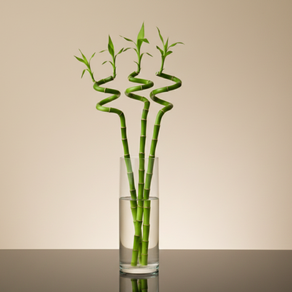 فازة أغصان البامبو الطبيعية