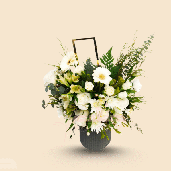 فيوري (Fiore)
