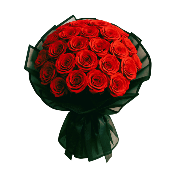 ڤيلورا
