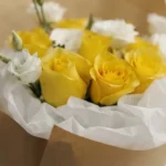 ⁦إشراقة أمل⁩ - الصورة ⁦4⁩