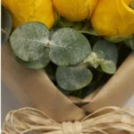 ⁦دفء المشاعر⁩ - الصورة ⁦3⁩