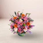Vivid Harmony