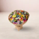 بيتلت petal