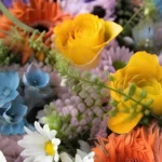 ⁦بيتلت petal⁩ - الصورة ⁦3⁩