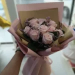 Brise Rose