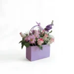 Douceur Violette