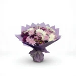 Harmonie Violette