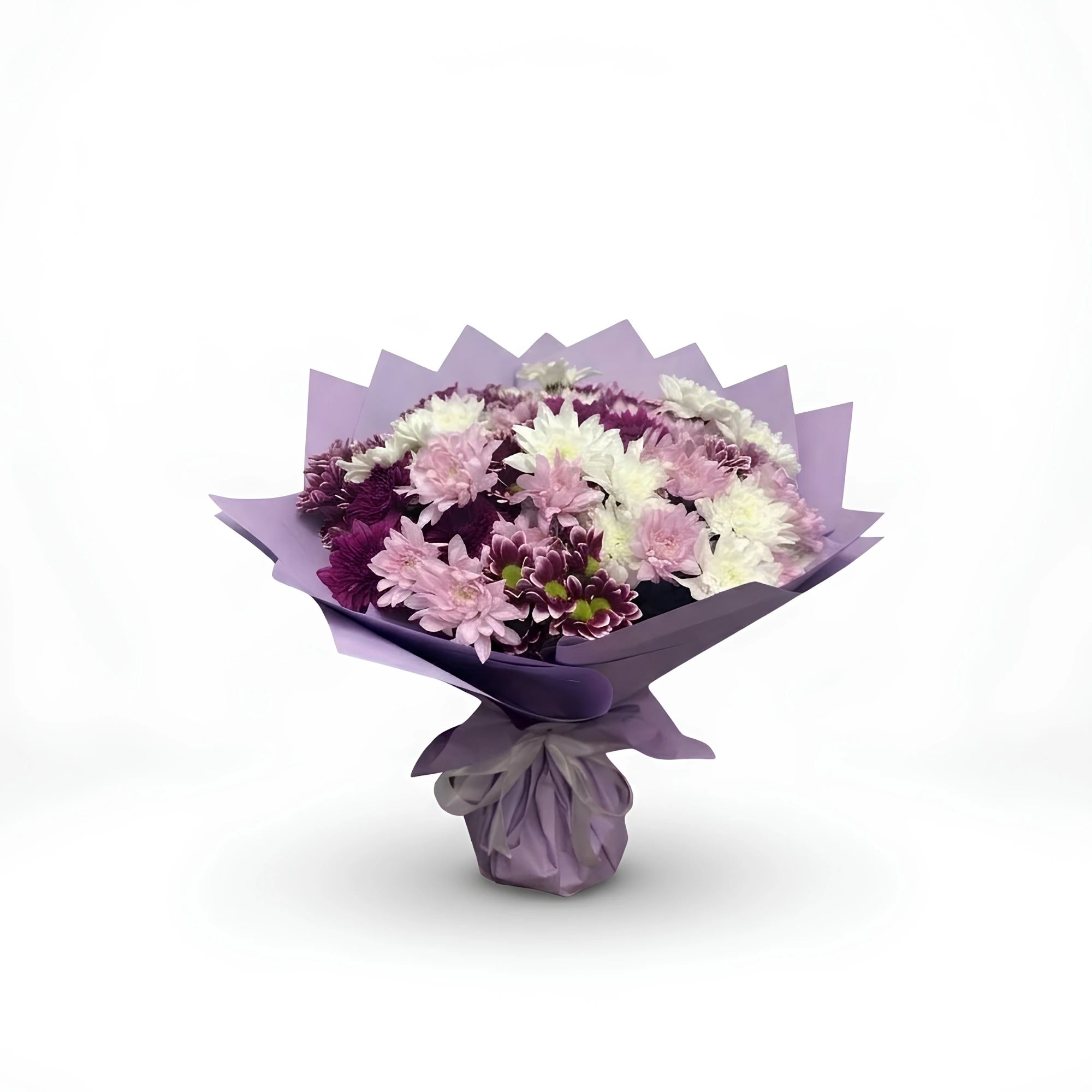 Harmonie Violette Harmonie Violette - الصورة 1