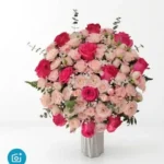Jardin Rosé