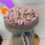 Lilas Mystique