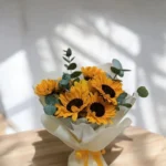 Lumière Solaire