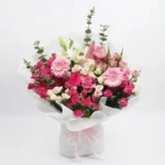 Magie Fuchsia