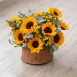 Panier Solaire