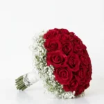 Pulsation Nuptiale