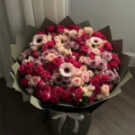 Splendeur Royale